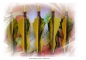Preview: Holzpfeil "Fire Dragon"