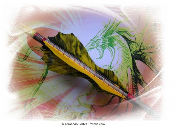 Holzpfeil "Fire Dragon"