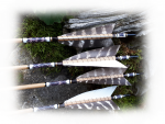 1 Satz - 4 Stck Carbonpfeilen Penthalon Traditional Extreme - cresting und Naturfedern - 600er Spine